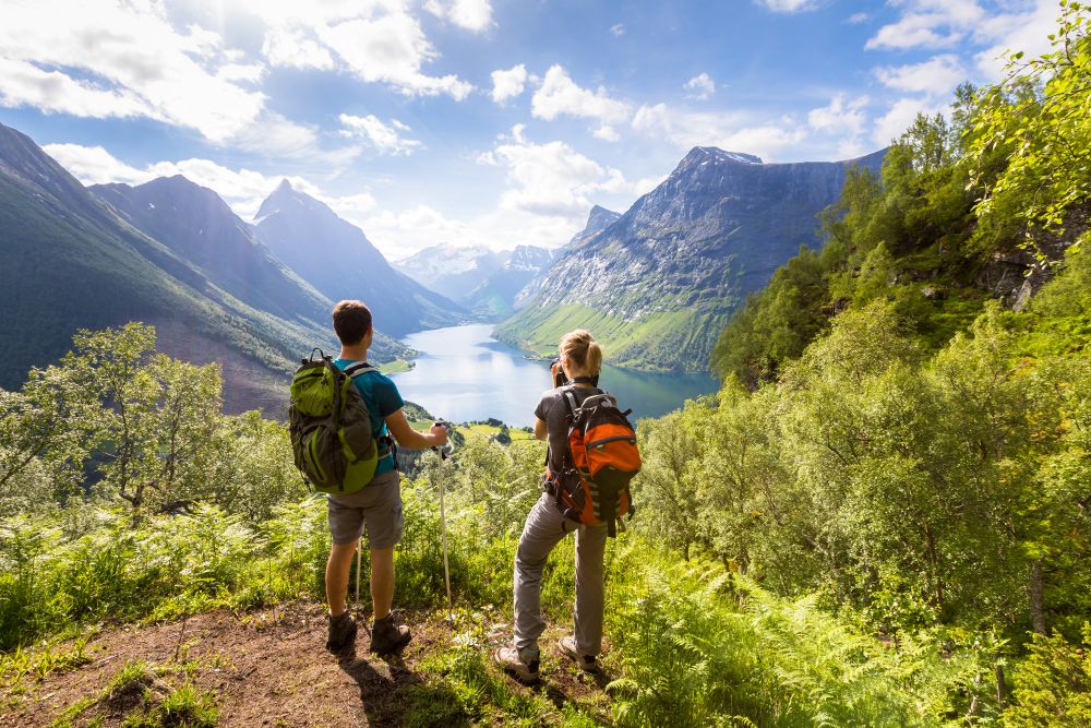 Energy Bars for Hiking: Find Your Perfect Summit Snack